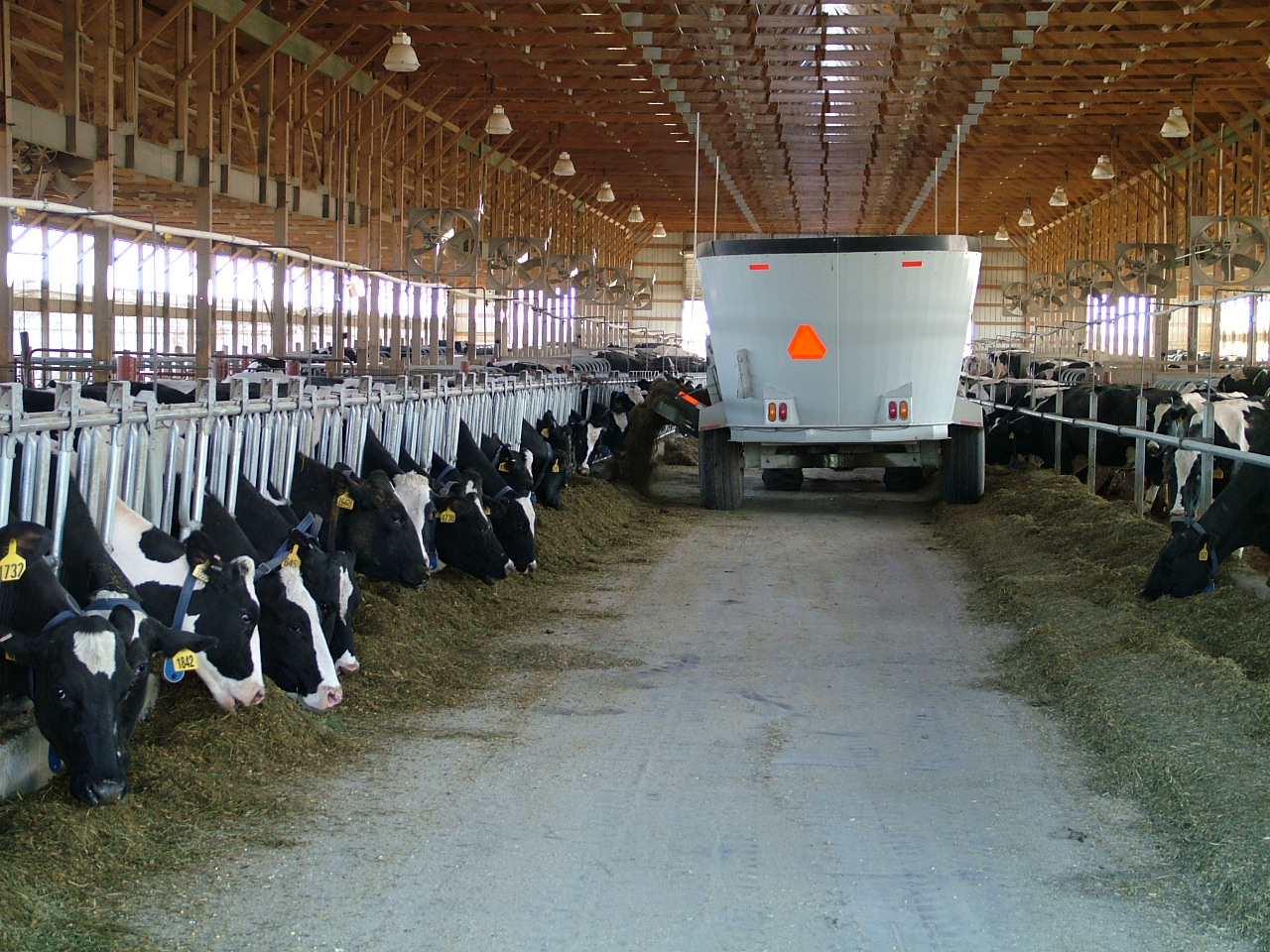 Projects UT Precision Livestock Farming