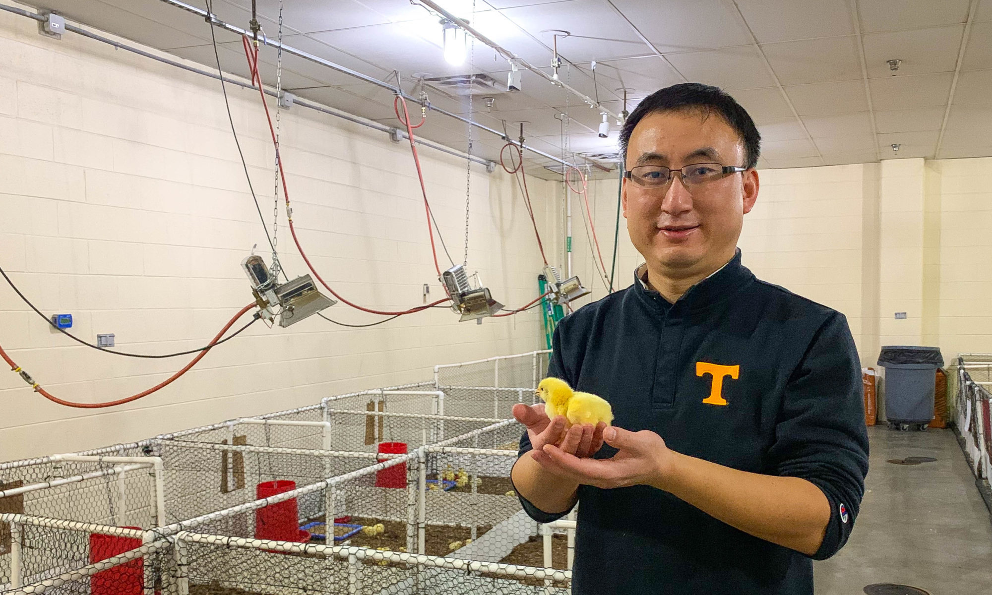 Yang Zhao holding a baby chick