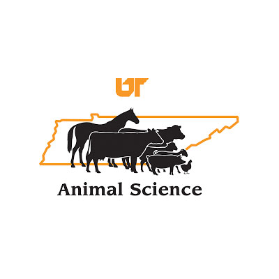 Precision Beef Systems & Agricultural Statistics Assistant, Endowed Associate or Full Professor